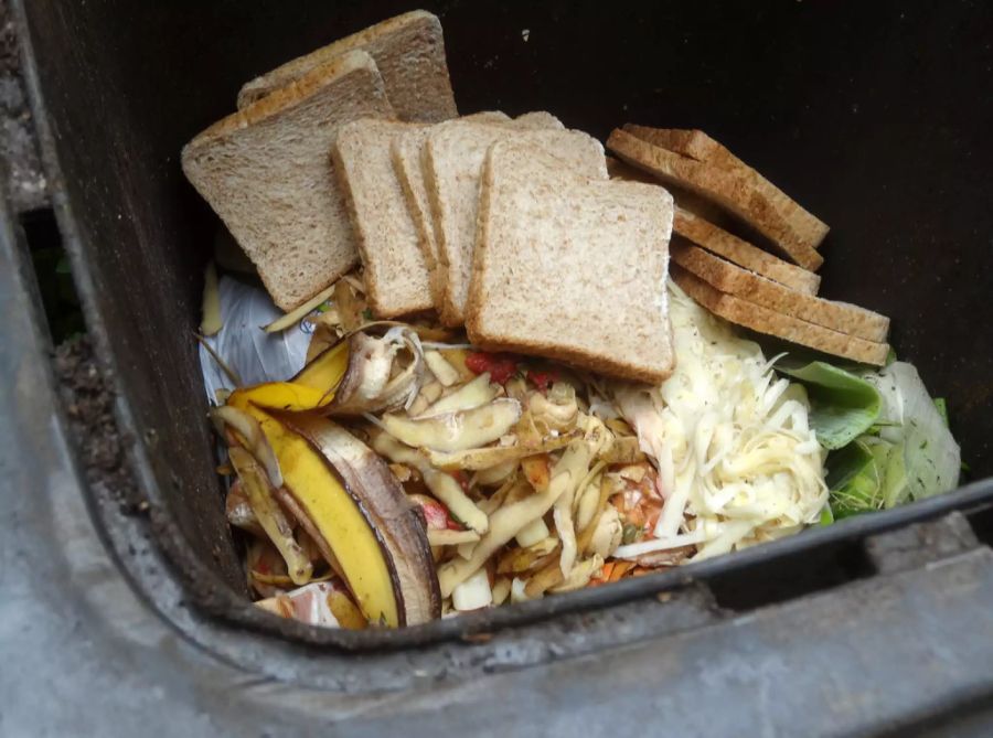 Food Waste