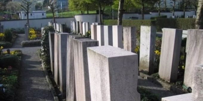 Friedhof Friedhof