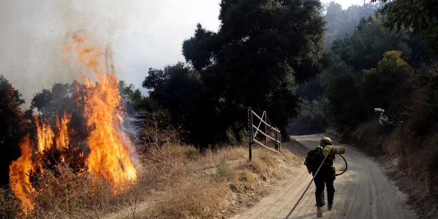 Waldbrände in Kalifornien Strom