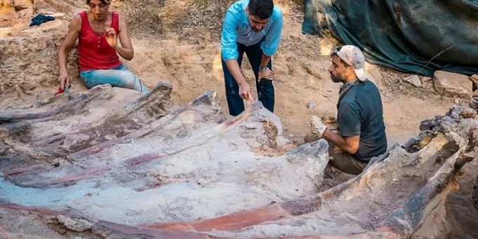 Lissabon - Womöglich grösster Dinosaurier-Fund Europas in Portugal ausgegraben