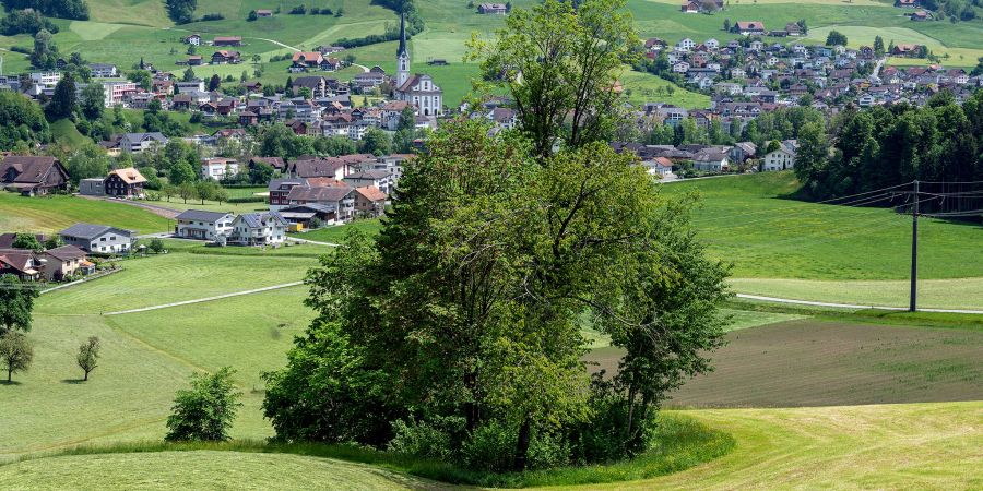 Blick auf Schüpfheim.