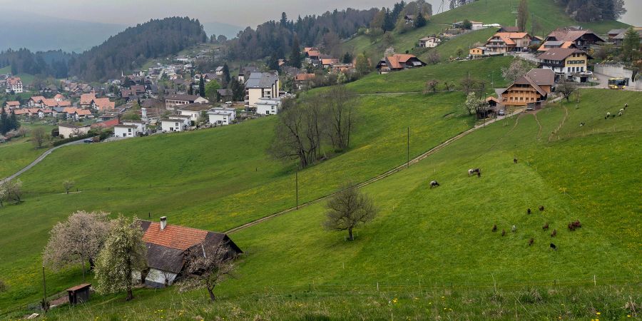 Blick auf Goldiwil, Stadt Thun.