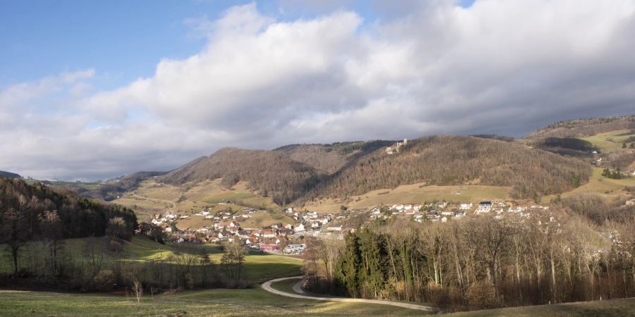 Thalheim ist eine Weinbaugemeinde: An den Südhängen der Hard und des Schenkenbergs war im Jahr 2018 eine Fläche von 4,4 Hektaren mit Reben bestockt.