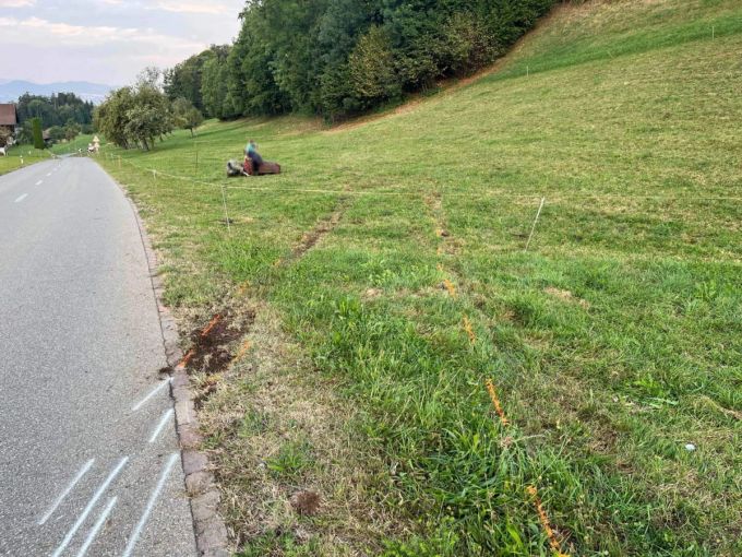 Die Kuh musste eingeschläfert werden. Die Kuh musste eingeschläfert werden.