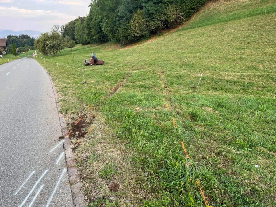 Die Kuh musste eingeschläfert werden.