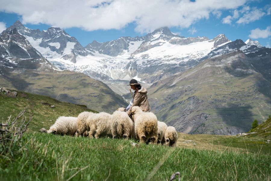 Zermatt Gornergrat Wandern Herbst