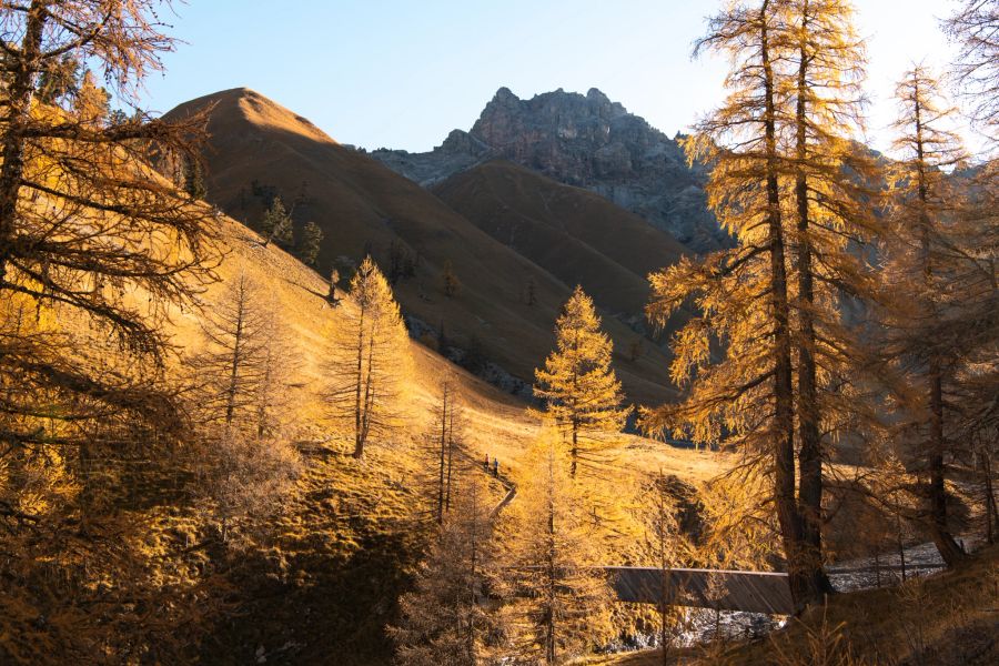 Val Trupchun im Goldgewand.