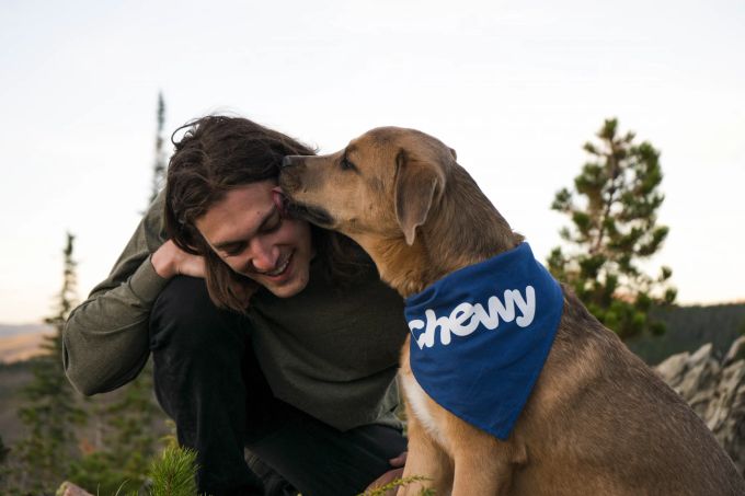 Hunde können aus Freude über die Wiedervereinigung mit ihren Besitzern weinen. hunde
