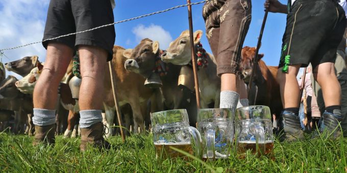 In der Alpenregion wird in den kommenden Wochen wieder das Vieh von den Almwiesen in die Ställe gebracht. Doch einige Gemeinden verzichten diesmal auf grosse Feste. In der Alpenregion wird in den kommenden Wochen wieder das Vieh von den Almwiesen in die Ställe gebracht. Doch einige Gemeinden verzichten diesmal auf grosse Feste.