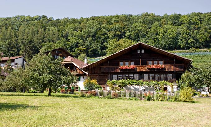 Dieses Bauernhaus gehört zum Spiezer Heimat- und Rebbaumuseum. In drei Bauten aus dem 18. Jahrhundert findet ihr einen Weinkeller, die Werkstatt der letzten Spiezer Fassküfer, eine originale Traubenpresse und vieles mehr zur Ortsgeschichte und zum lokalen Rebbau. Herbstwanderungen