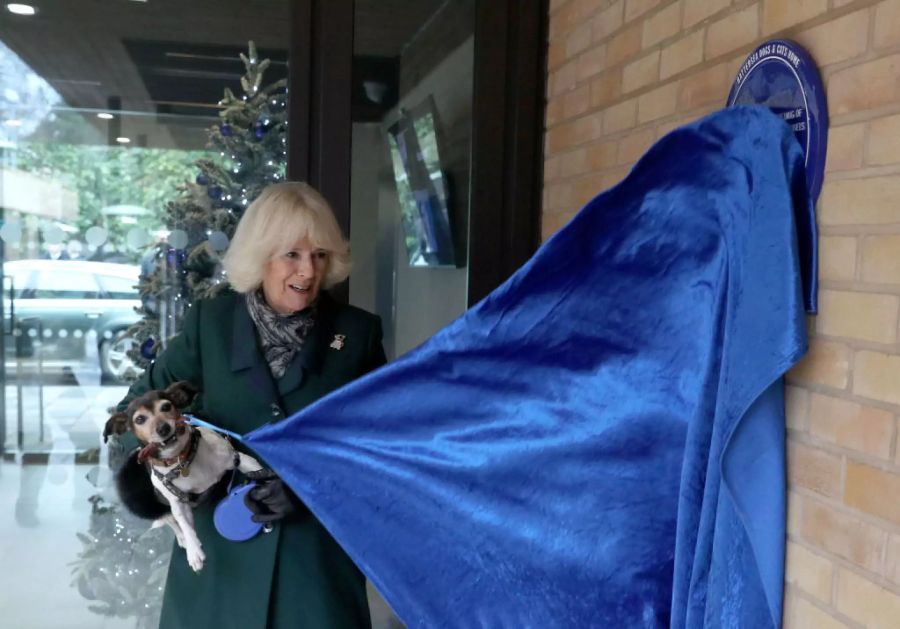Camilla hat mit ihrer Hunde-Dame Beth eine neue Sektion in einem Heim für Katzen und Hunde eröffnet.
