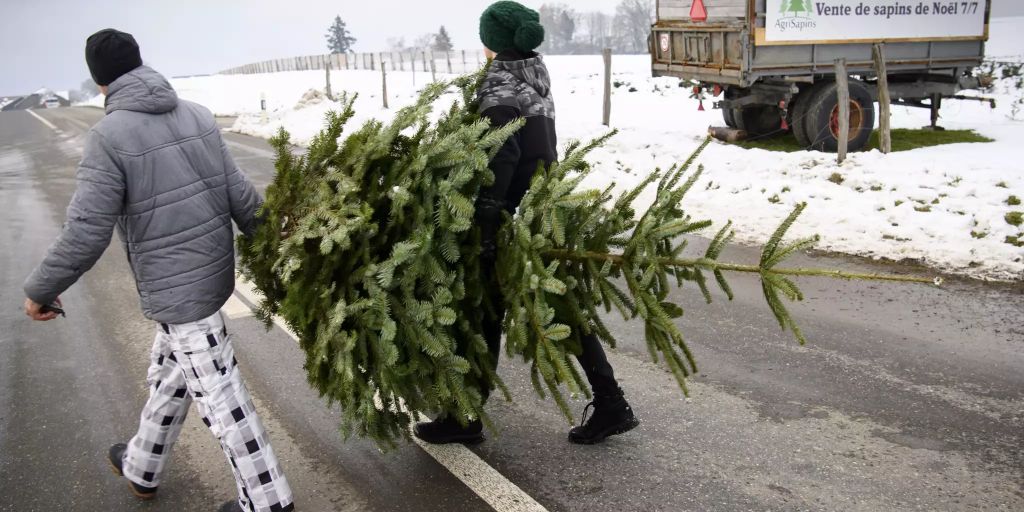 Pfeffingen will collect the Christmas trees again free of charge