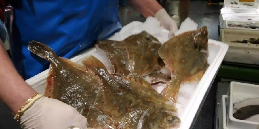 Ein Mitarbeiter trägt eine Eisbox mit fangfrischen Schollen durch die Halle des Hamburger Fischmarktes. Foto: picture alliance / dpa