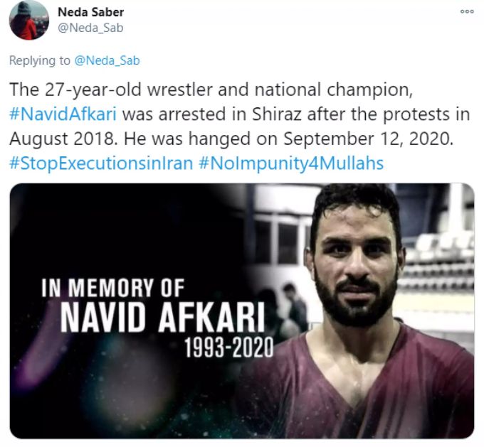Der iranische Ringer Navid Afkari wurde im vergangenen September hingerichtet. Navid Afkari