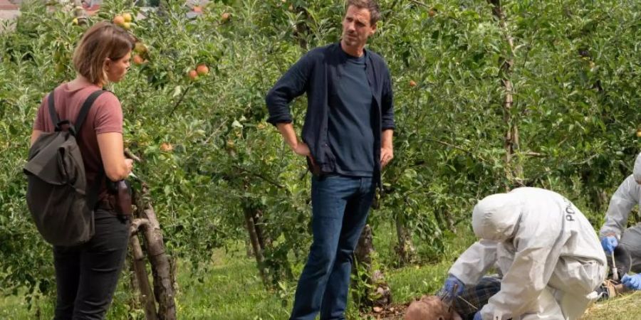 Die Kommissare Maris Bächle (Jessica Schwarz) und Konrad Diener (Max von Thun) begutachten die Leiche eines Obstbauern. Foto: Maria Wiesler/ZDF/dpa