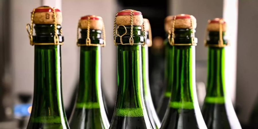 Lehrerin Champagner
