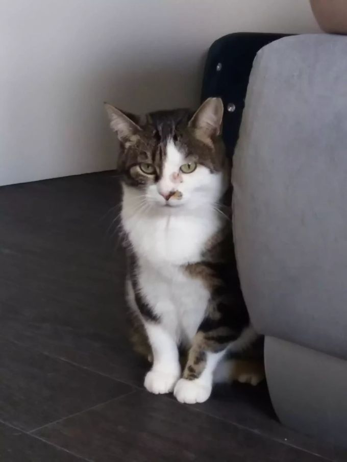 Loulou muss sich erst eingewöhnen, ist dann aber eine angenehme Mitbewohnerin. Loulou