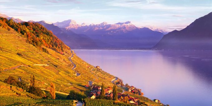 Das Waadtland bietet viele weintouristische Angebote. Weinberge
