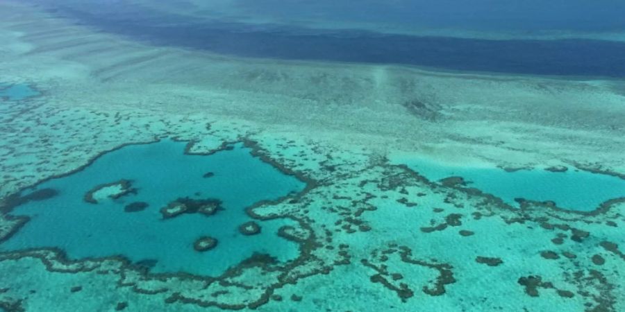 Das Great Barrier Reef