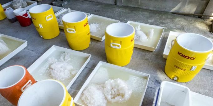 Crystal Meth (Symbolbild) Crystal Meth (Symbolbild)