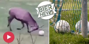 Hirsch Fussball
