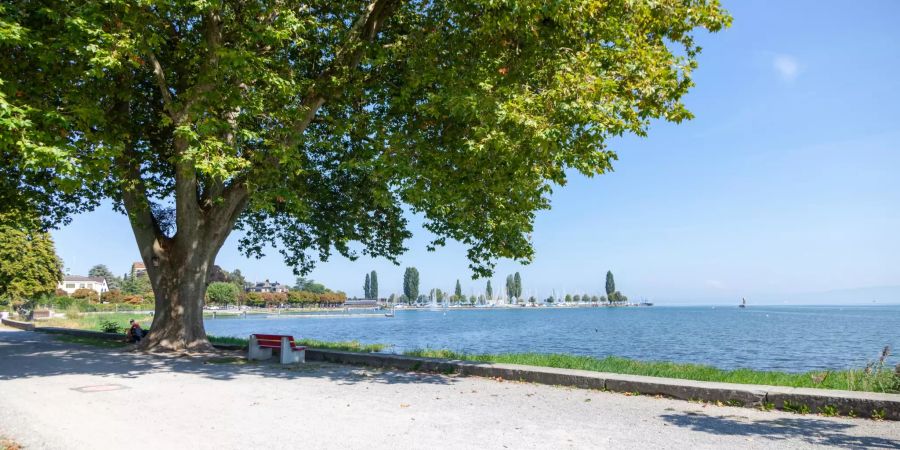 Seepromenade mit Aussicht auf Arbon.