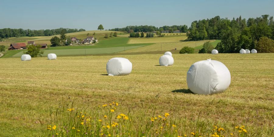 Landwirtschaft Bubikon (ZH).