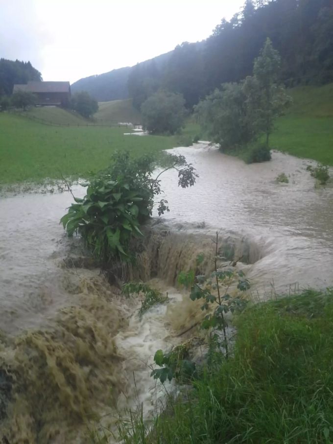 regen