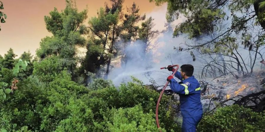 Ein Feuerwehrmann kämpft gegen einen Waldbrand auf der Insel Euböa, etwa 160 Kilometer nördlich von Athen. In Teilen Südeuropas und in Griechenland kämpfen die Menschen weiter gegen heftige Waldbrände und extreme Hitze. Foto: Thodoris Nikolaou/AP/dpa