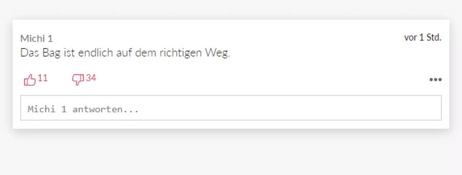 «Michi 1» scheint die neue Regelung für eine gute Idee zu halten.