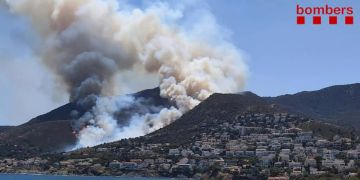 Feuerwehr Waldbrand Katalonien
