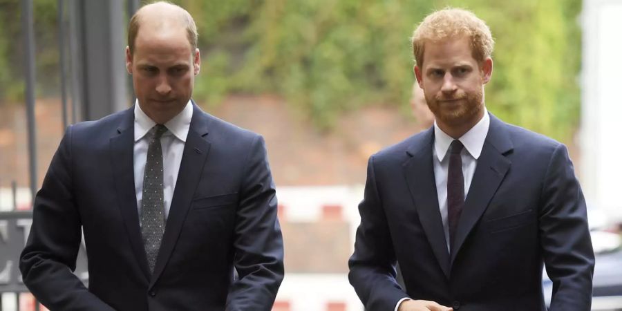 Prinz Harry und Prinz William.