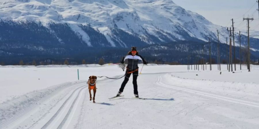 Die Hundeloipe bei Samedan.