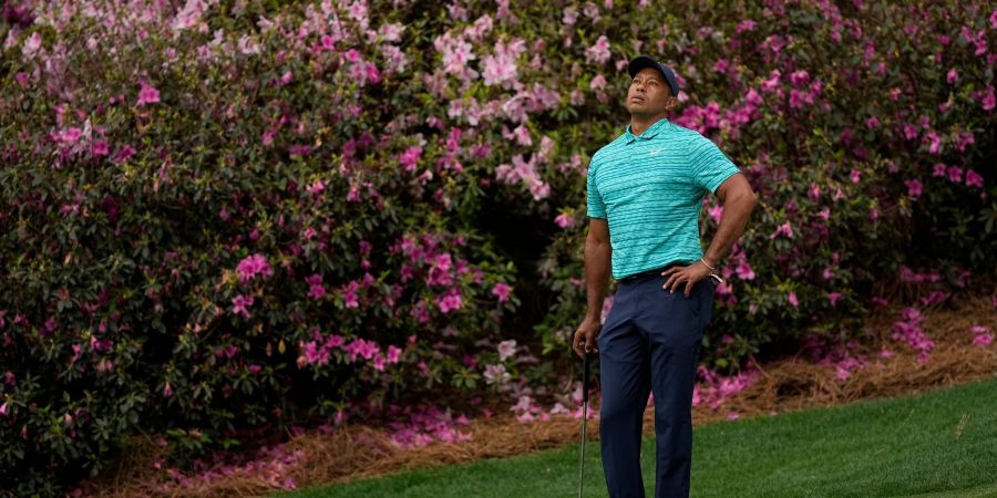 Star-Golfer Tiger Woods wartet am 13. Loch darauf, putten zu können.