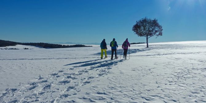 alt schneeschuhwanderung