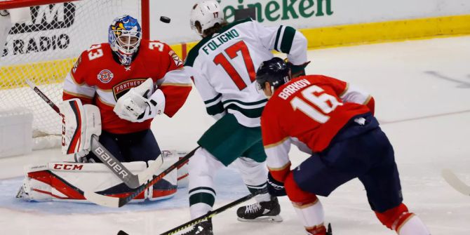 Minnesota Wild