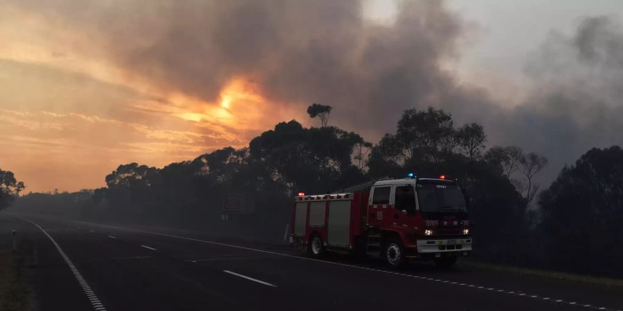 Buschfeuer in Victoria Australien