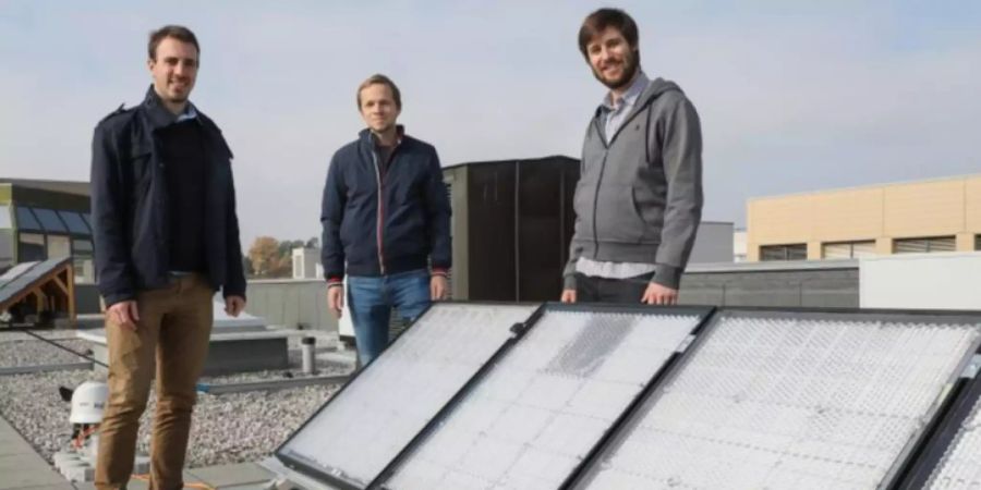 Solarmodul Unternehmen Startup