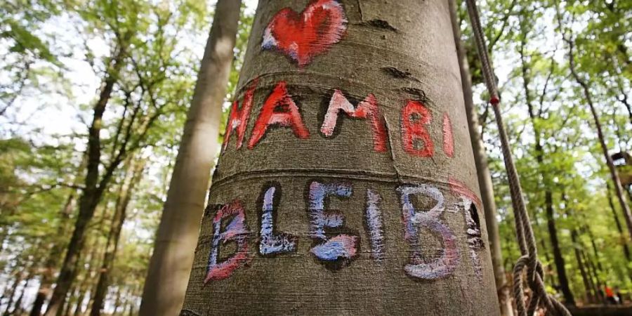 «Ab heute gilt ein Rodungsmoratorium für den Hambacher Forst».» Laut Laschet gilt das Moratorium bis zum Herbst, also bis zur nächsten Rodungssaison. Foto: Oliver Berg