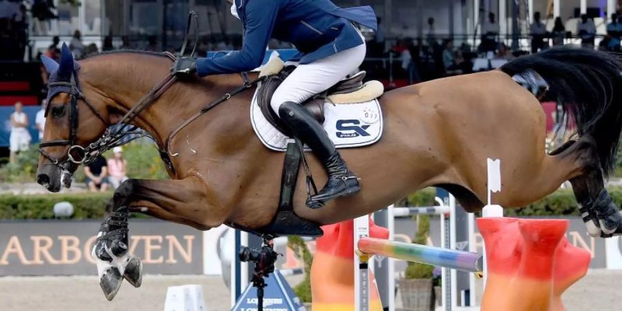 Sechste in Miami: Daniel Deusser und sein Pferd Calisto Blue. Foto: Britta Pedersen