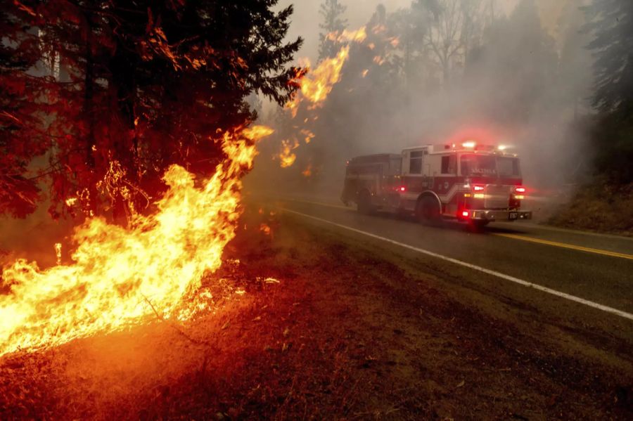 Kalifornien Waldbrand