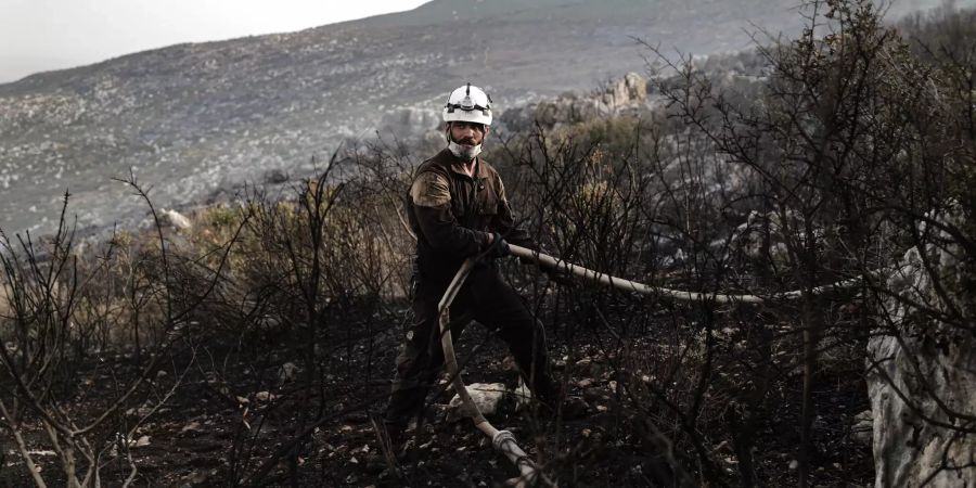 Syrien Waldbrände feuer