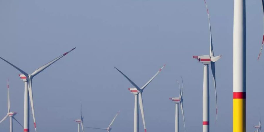 Windräder des Windparks «Wikinger» in der Ostsee vor Rügen drehen sich. Foto: Bernd Wüstneck/zb/dpa