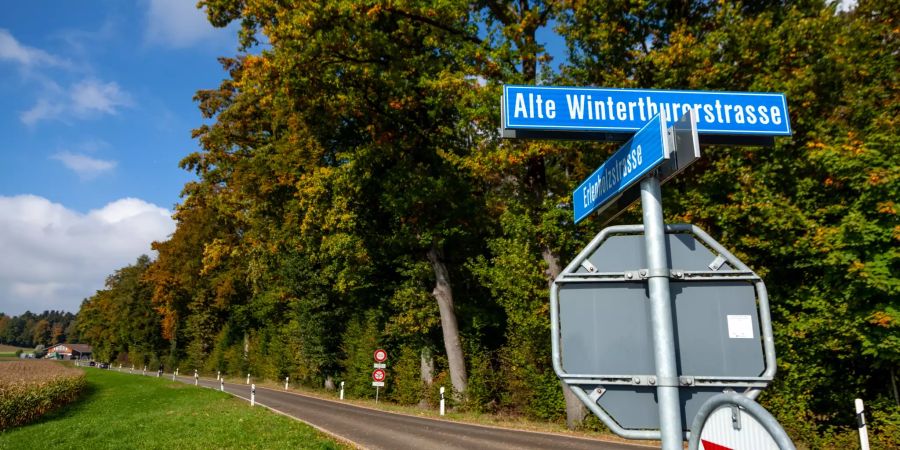 Der Hardwald in Kloten.