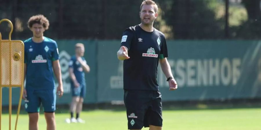 fußball-bundesliga