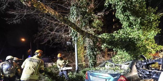 Ein Baum ist durch Orkanböen des Sturmtiefs «Sabine» auf ein Auto gestürzt. Foto: Patrick Seeger/dpa sabine