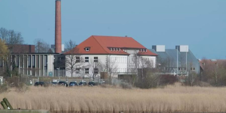 Das Bundesforschungsinstitut für Tiergesundheit des Friedrich-Loeffler-Instituts (FLI) auf der Insel Riems bei Greifswald hat mit Tierversuchen zur Erforschung des neuartigen Coronavirus Sars-CoV-2 begonnen. Foto: Stefan Sauer/dpa