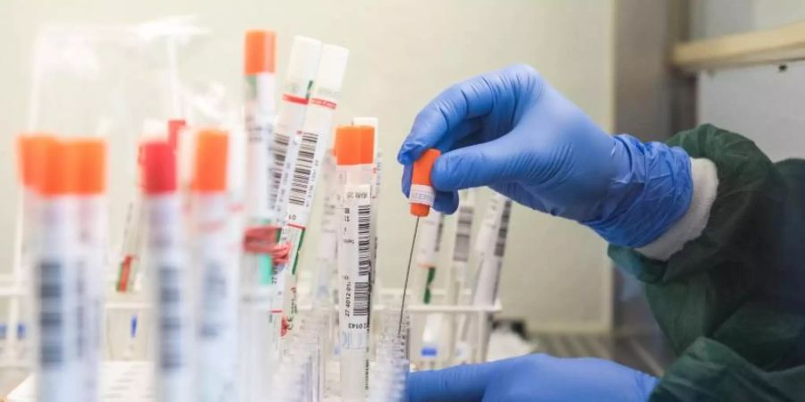 Sondersendungen zum Coronavirus bescheren den öffentlich-rechtlichen Sendern gute Quoten. Foto: Daniel Bockwoldt/dpa