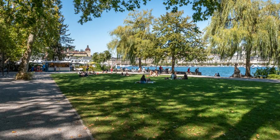 Der Inseli Park in der Stadt Luzern.