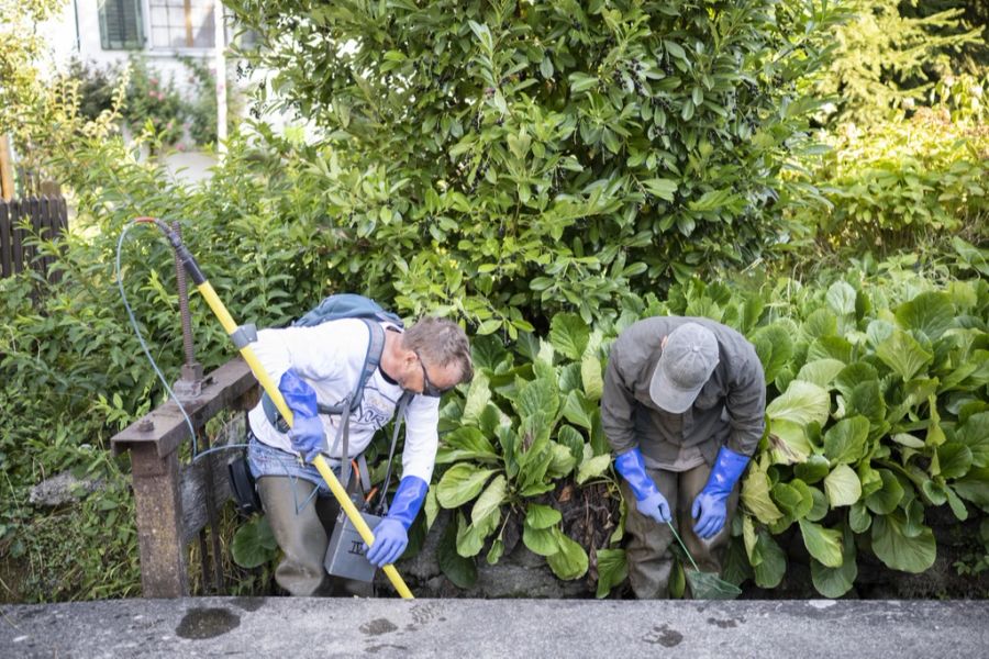 In Zürich wurden bisher ebenfalls bloss einzelne Abfischungen durchgeführt – an Gewässern, die sowieso jedes Jahr austrocknen. (Archivbild)